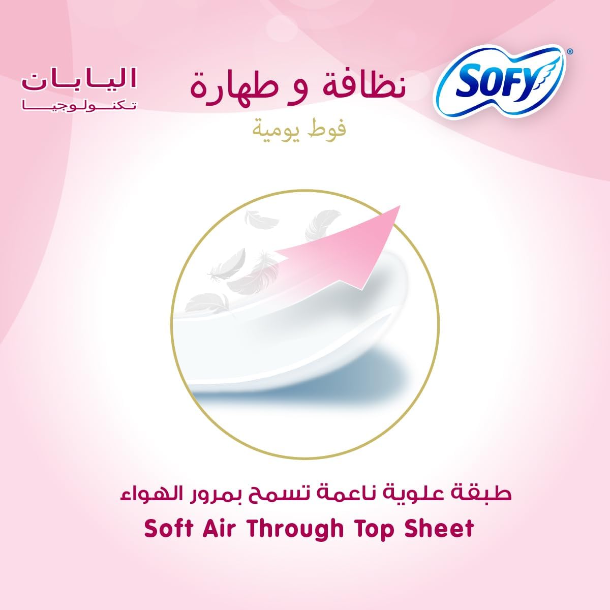 SOFY Clean & Pure Panty Liner, 175 mm, Large, Fresh, Pack 114 Panty Liners